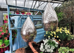 71 - 2 Tropfen ca. 35 x 25 cm filigran Silber